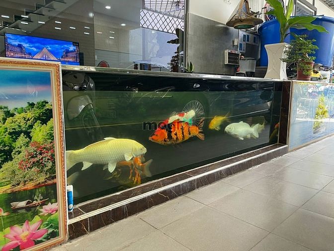 Hình ảnh Bán Biệt Thự mini đường Tây Lân 9x13, chỉ 5 tỷ 950, Bình Tân