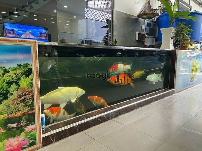 Hình ảnh Bán Biệt Thự mini đường Tây Lân 9x13, chỉ 5 tỷ 950, Bình Tân