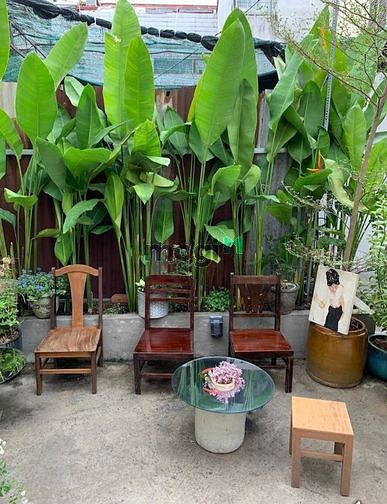 Hình ảnh Cho thuê 16C Tú Xương, P Võ Thị Sáu Quận 3