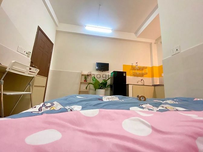 Hình ảnh Thuê Căn Hộ Quận 7 Studio cửa sổ lớn tân quy gần LOTTE m Văn Bền