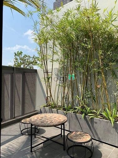 Hình ảnh Cho thuê CHDV tại Thảo Điền, quận 2