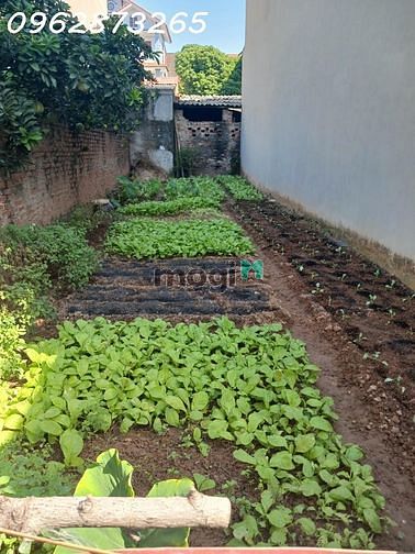 Hình ảnh Bán đất phân lô ô tô vào đất phố kẻ tạnh- p. giang biên -q. long