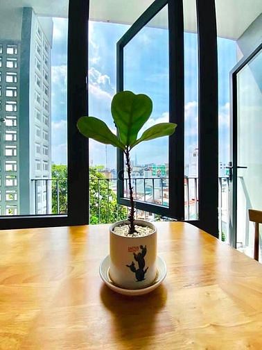 Hình ảnh 💡 Studio Full Nội Thất Ban Công + Cửa Sổ Siêu Thoáng Ở Nguyễn Xí - BT