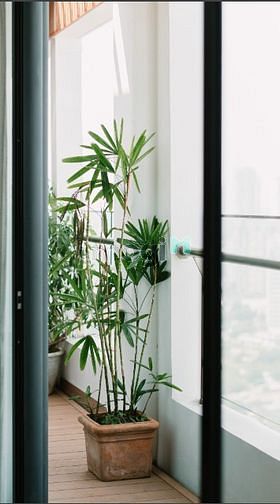 Hình ảnh PENTHOUSE – Centana Thủ Thiêm – 1 căn duy nhất, 1 căn duy nhất!