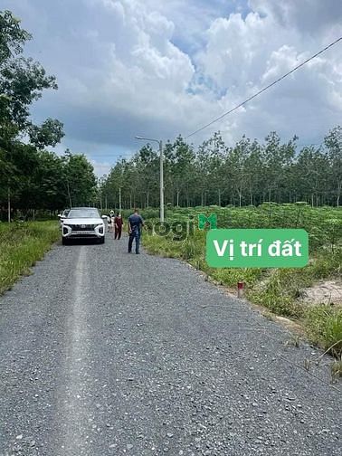 Hình ảnh Bán Đất Sát Khu Công Nghiệp Becamex THỊ XÃ CHƠN THÀNH - BÌNH PHƯỚC 3XX