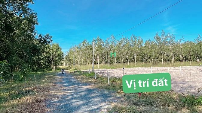 Hình ảnh Bán Đất Sát Khu Công Nghiệp Becamex THỊ XÃ CHƠN THÀNH - BÌNH PHƯỚC 3XX