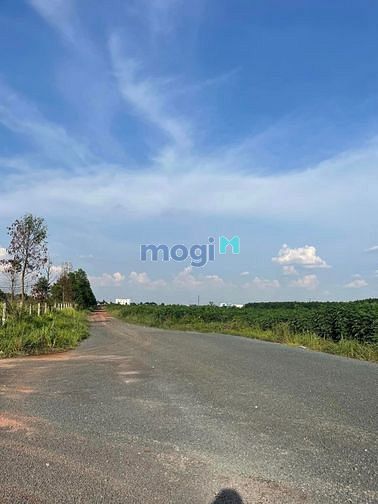 Hình ảnh Bán Đất Sát Khu Công Nghiệp Becamex THỊ XÃ CHƠN THÀNH - BÌNH PHƯỚC 3XX