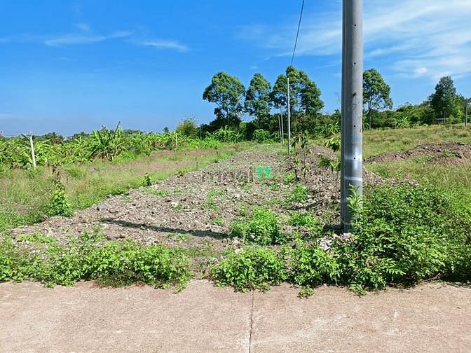 Hình ảnh Bán gấp 27000m2 đất Mặt Tiền QL22 Tân An Hội Củ Chi 4tr/m2