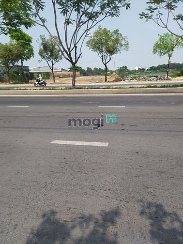 Hình ảnh Cho thuê đất đường Trần Văn Giàu, Bình Tân