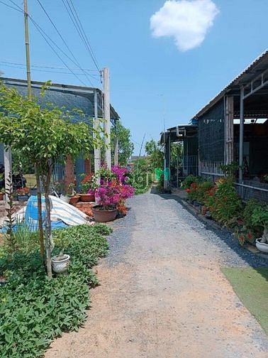 Hình ảnh Bán 185m2 đất ở thị trấn cần đước giá chỉ 1tỷ250