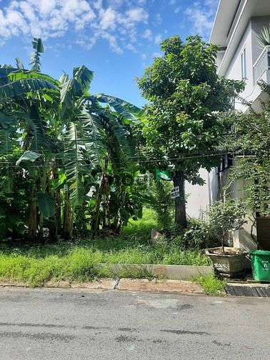 Hình ảnh Định cư Úc, Bán lô đất 12x16m Bùi Tá Hán, Q2 - Giá 155tr/m2 rẻ nhất Q2