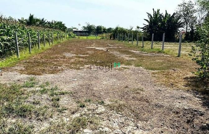 Hình ảnh Bán gấp Lô Đất Vườn 1000m2 Giá 95tr sát TP.Tây Ninh