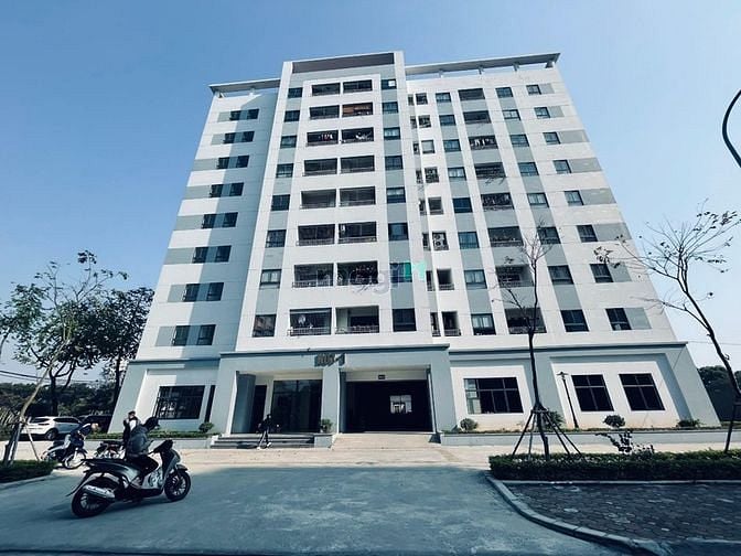 Hình ảnh Chỉ từ 2,2 tỷ sở hữu căn góc 3PN Chung cư Golden Sunrise N07 Sài Đồng
