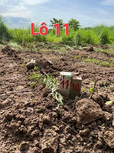Hình ảnh Thạnh Phước - Thạnh Bình - Tân Biên - TÂY NINH 🚩 ♦️Đất sào : 1021m2