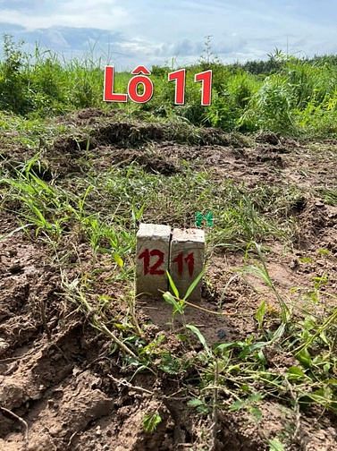 Hình ảnh Thạnh Phước - Thạnh Bình - Tân Biên - TÂY NINH 🚩 ♦️Đất sào : 1021m2