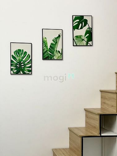 Hình ảnh Cho thuê Trang Chủ MB66.COM / Đăng Ký Tặng 66K dịch vụ Duplex Tân Phú - gác cao không đụng đầu