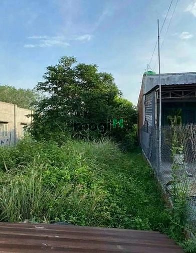 Hình ảnh KÈO THƠM, HẠ GIÁ MẠNH, BÁN LỖ ĐẤT hẻm Tp. Tây Ninh, đường bê tông Dtt:
