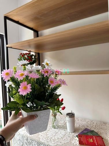 Hình ảnh Cho thuê Trang Chủ MB66.COM / Đăng Ký Tặng 66K đầy đủ nội thất quận Tân Bình