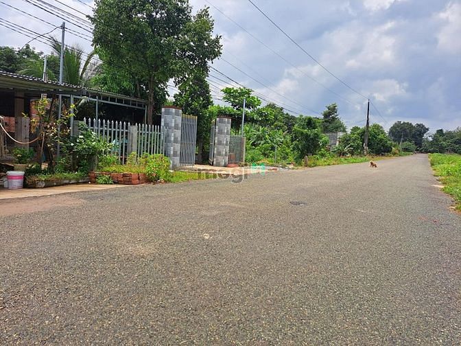 Hình ảnh Bể Nợ Bán Gấp 4 Lô (20x41)=810m2 Sát Kcn Giá 195tr/Shr Cạnh Quốc Lộ