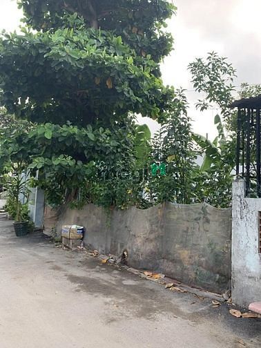 Hình ảnh Bán gấp lô đất thổ cư 163m2, Thới Tam Thôn, Hóc Môn, Giá 950 Triệu.