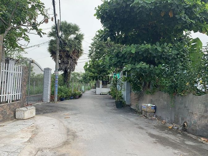 Hình ảnh Bán gấp lô đất thổ cư 163m2, Thới Tam Thôn, Hóc Môn, Giá 950 Triệu.