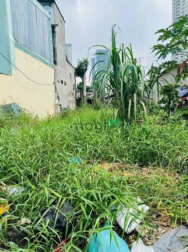 Hình ảnh Chính Chủ Bán Lô Đất Thổ Cư Shr Hẻm 666 Huỳnh Tấn Phát- dt 77m2