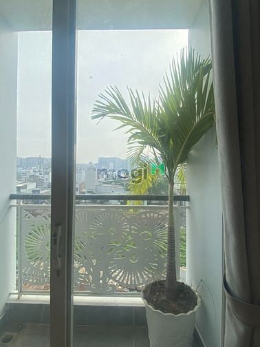 Hình ảnh CHDV 50m2 Full Nội Thất Cửa Sổ Bancol AEON Bình Tân Chỉ 4tr