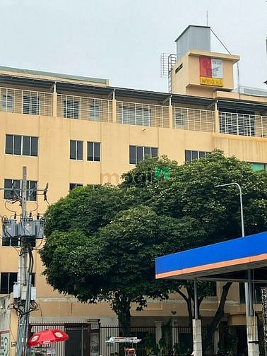 Hình ảnh cho thuê tòa nhà trường học tân bình