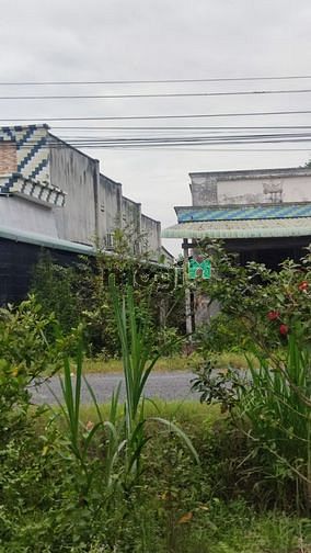 Hình ảnh đất nền rẻ !!! ra lô đất. 5*34 full thổ cư giá 180tr QDT, SHR Gò Dầu