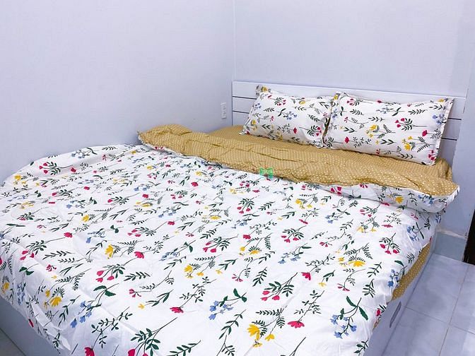 Hình ảnh Cho Thuê Căn Hộ 1PN Full Nội Thất Q7