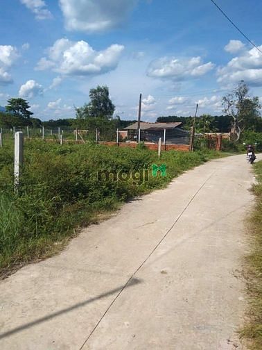 Hình ảnh Đất đẹp thanh điền ct tn Đường bê tông khu dân cư đông đúc Dt 5 x 52