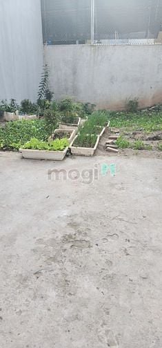 Hình ảnh Bán đất đại mỗ, 35m giá nhỉnh 2 tỉ, đất cực có lộc