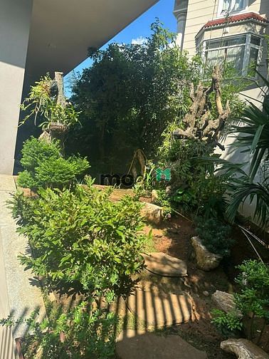 Hình ảnh Cho thuê biệt thự 1000m2 sân vườn, hồ bơi cao cấp phường Bình An