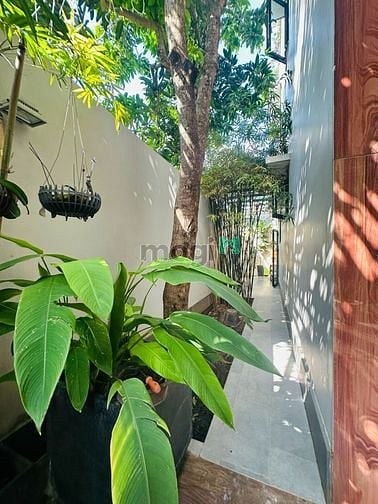 Hình ảnh Cho thuê biệt thự 1000m2 sân vườn, hồ bơi cao cấp phường Bình An