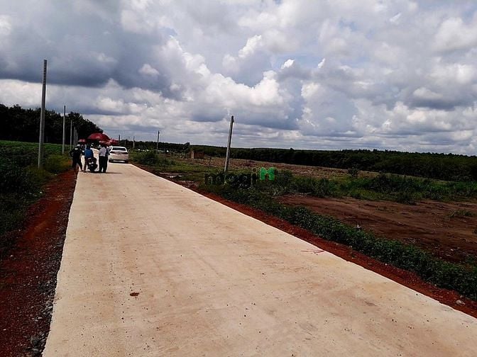 Hình ảnh BÁN RẺ 4 SỔ 4023M2 ĐẤT, đường lớn ngay chợ18M shr thông KCN- GIÁ 195TR