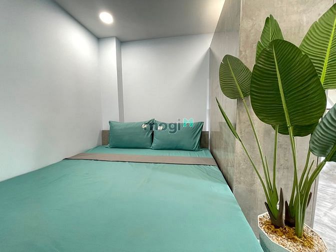 Hình ảnh 🏡✨CHDV DUPLEX Máy giặt riêng - Gần Đh Tdtu, Rmit, Lotte Q7
