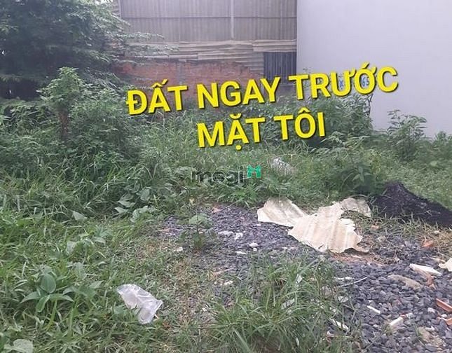 Hình ảnh Đất KHỦNG 10,2 x 16 = 4x tỷ Đông Thạnh Hóc Môn Tp.HCM - Thơm