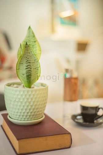 Hình ảnh Mb6623 nạp rút nhanh chóng siu dễ thương 32m2 full NT ngay Vũ Huy gần Chợ Bà Chiểu Cửa sổ>