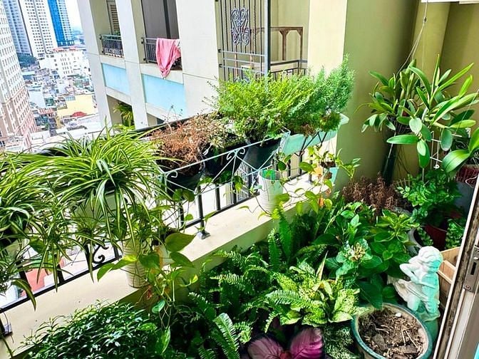 Hình ảnh Cho thuê Trang Chủ MB66.COM / Đăng Ký Tặng 66K 2PN tại Bình Thạnh, The Manor