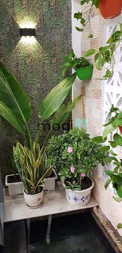 Hình ảnh Bán nhà 4 tầng thu nhập 27 triệu/ tháng