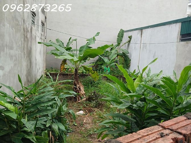 Hình ảnh Bán đất phố trường lâm -p. đức giang -long biên. vị trí đẹp, ô tô