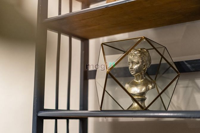 Hình ảnh Căn Hộ Cho Thuê Sang Xịn Mịn Đakao Quận 1