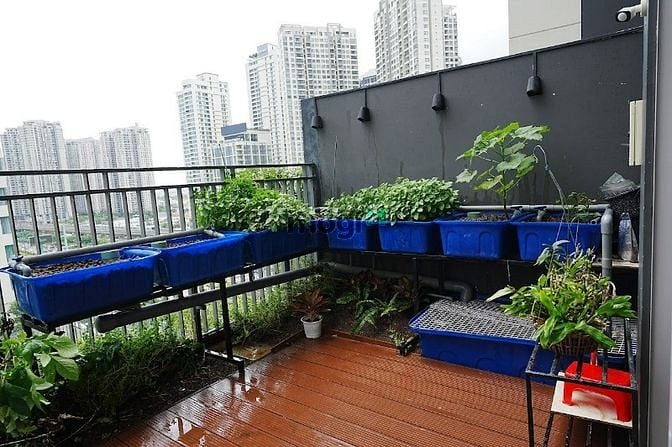 Hình ảnh Cho thuê Trang Chủ MB66.COM / Đăng Ký Tặng 66K 4PN- Estella Heights- Nhà siêu đẹp
