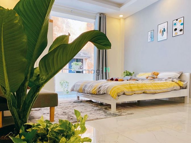Hình ảnh 🎀studio full Nt Ban Công lớn gần Ngã Sáu Phù Đổng,Bitexco,CV 23/09,ch