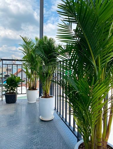 Hình ảnh Studio tách bếp full Nt ban công gần chợ Tân Định,Cv Lê Văn Tám, cầu B