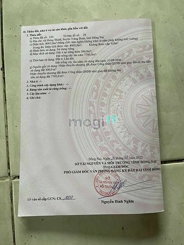 Hình ảnh Bán 2 lô Đất xã Hưng Thịnh Trảng Bom Đồng Nai