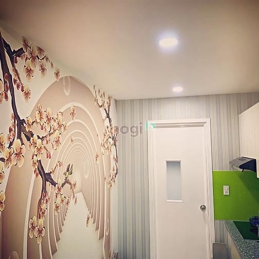 Hình ảnh Cho thuê chung cư diamond full nt cao cấp