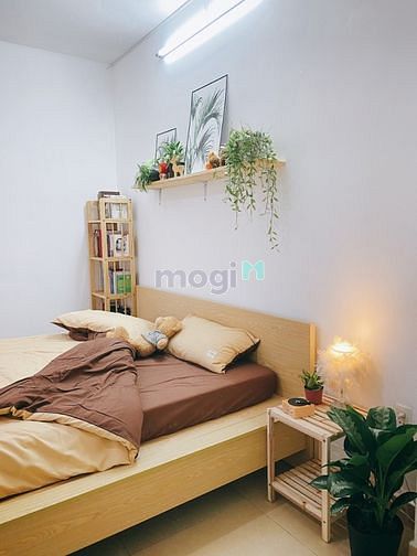 Hình ảnh Mb6623 nạp rút nhanh chóng dịch vụ 1PN có ban công siêu rộng-phong cách Vintage