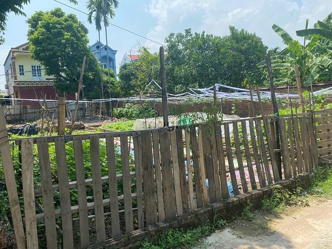 Hình ảnh Bán 62m khê nữ, ngyên khê - đường ô tô - ngõ thông - giá rẻ