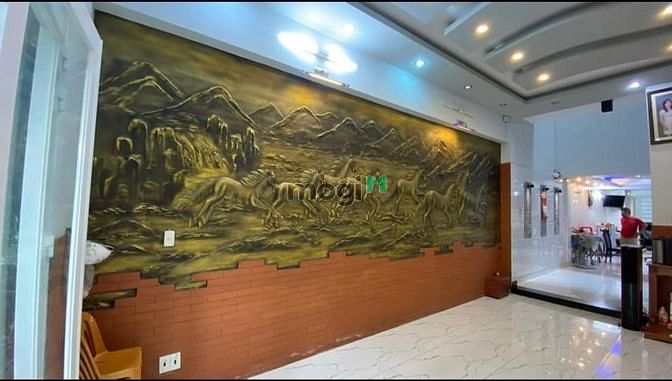 Hình ảnh 🏡 5 x 20 - Limousine đậu cửa - Tân Bình - Giáp Q10